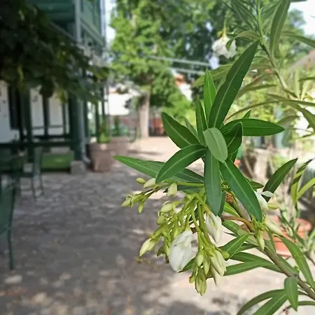 Svájci Lak Panzió * Nyíregyháza