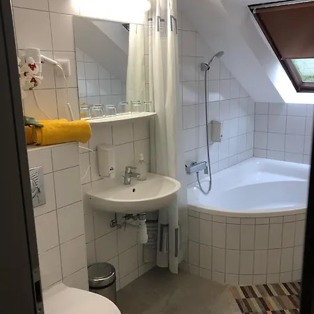 Svajci Lak Panzio B&B Mestecǎneşti