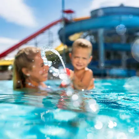 Svajci Lak Panzio B&B Mestecǎneşti