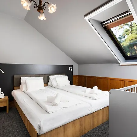B&B Svajci Lak Panzio 3*
