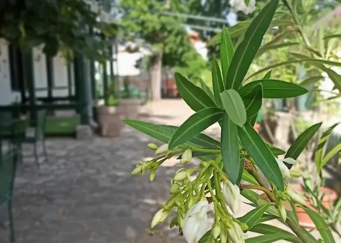 Svájci Lak Panzió 4* Nyíregyháza