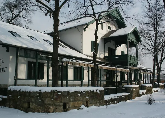 Svájci Lak Panzió Nyíregyháza