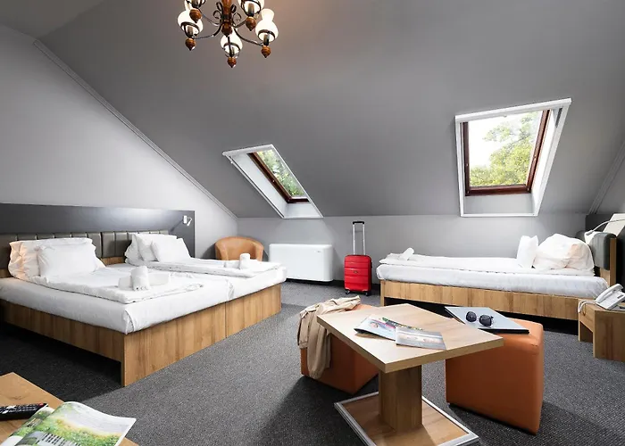 Svájci Lak Panzió Panzió 4*